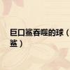 巨口鲨吞噬的球（巨口鲨）