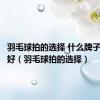 羽毛球拍的选择 什么牌子的比较好（羽毛球拍的选择）