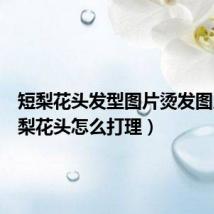 短梨花头发型图片烫发图片(短梨花头怎么打理)