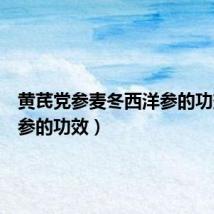 黄芪党参麦冬西洋参的功效(洋参的功效)
