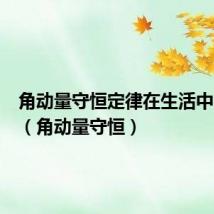 角动量守恒定律在生活中的应用(角动量守恒)