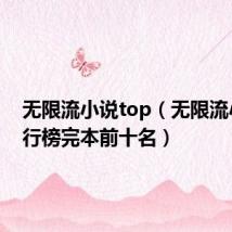 无限流小说top(无限流小说排行榜完本前十名)