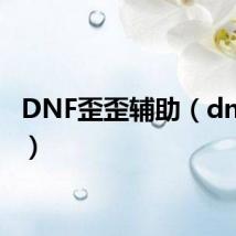 DNF歪歪辅助(dnf歪歪)