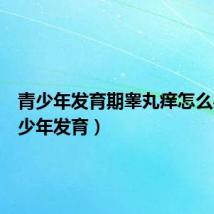 青少年发育期睾丸痒怎么办(青少年发育)