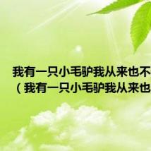我有一只小毛驴我从来也不骑寓意(我有一只小毛驴我从来也不骑)