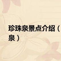 珍珠泉景点介绍（珍珠泉）