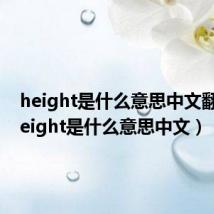 height是什么意思中文翻译(height是什么意思中文)