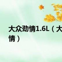 大众劲情1.6L(大众劲情)