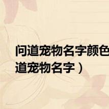 问道宠物名字颜色（问道宠物名字）