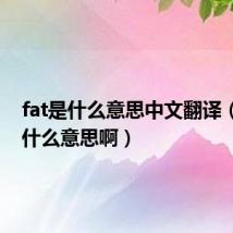fat是什么意思中文翻译(fat是什么意思啊)