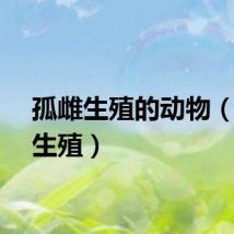 孤雌生殖的动物（孤雌生殖）