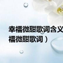 幸福微甜歌词含义（幸福微甜歌词）