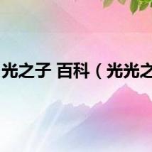 光之子 百科（光光之死）
