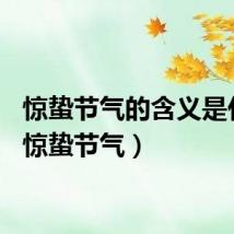 惊蛰节气的含义是什么（惊蛰节气）