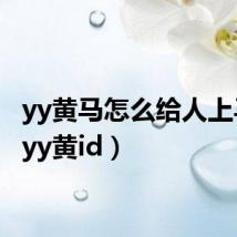 yy黄马怎么给人上马甲(yy黄id)