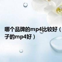 哪个品牌的mp4比较好(什么牌子的mp4好)