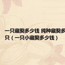 一只藏獒多少钱 纯种藏獒多少钱一只(一只小藏獒多少钱)