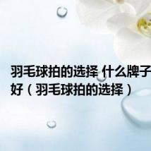 羽毛球拍的选择 什么牌子的比较好(羽毛球拍的选择)