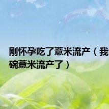 刚怀孕吃了薏米流产(我吃了两碗薏米流产了)