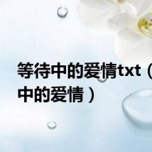 等待中的爱情txt(等待中的爱情)
