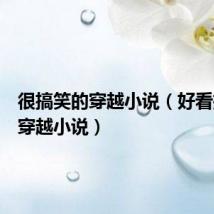 很搞笑的穿越小说(好看搞笑的穿越小说)
