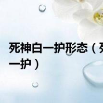死神白一护形态（死神白一护）