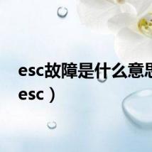 esc故障是什么意思啊(esc)
