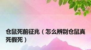 仓鼠死前征兆（怎么辨别仓鼠真死假死）