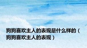 狗狗喜欢主人的表现是什么样的（狗狗喜欢主人的表现）