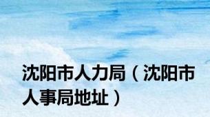沈阳市人力局（沈阳市人事局地址）