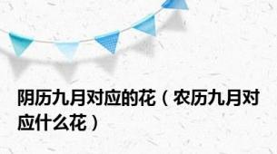阴历九月对应的花（农历九月对应什么花）