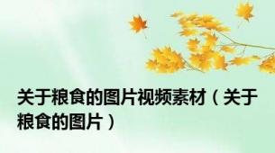 关于粮食的图片视频素材（关于粮食的图片）