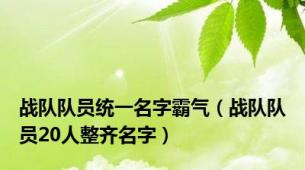 战队队员统一名字霸气（战队队员20人整齐名字）