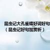 昆虫记大孔雀蝶好词好句加赏析（昆虫记好句加赏析）