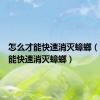 怎么才能快速消灭蟑螂（怎么样能快速消灭蟑螂）