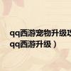 qq西游宠物升级攻略（qq西游升级）