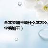 金字旁加玉读什么字怎么读（金字旁加玉）