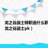 龙之谷战士转职选什么职业好（龙之谷战士pk）