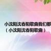 小沈阳沈春阳歌曲我们都好好的（小沈阳沈春阳歌曲）