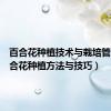 百合花种植技术与栽培管理（百合花种植方法与技巧）