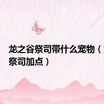 龙之谷祭司带什么宠物(龙之谷祭司加点)
