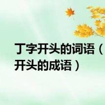 丁字开头的词语（丁字开头的成语）