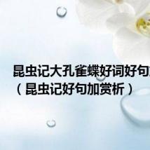 昆虫记大孔雀蝶好词好句加赏析(昆虫记好句加赏析)