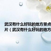 武汉有什么好玩的地方景点推荐图片(武汉有什么好玩的地方)