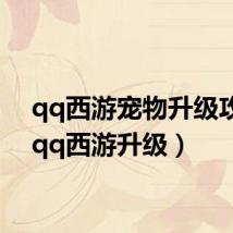 qq西游宠物升级攻略(qq西游升级)