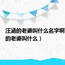汪涵的老婆叫什么名字啊(汪涵的老婆叫什么)