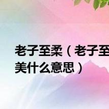 老子至柔（老子至善至美什么意思）