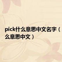 pick什么意思中文名字(pick什么意思中文)