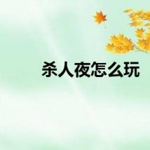 杀人夜怎么玩