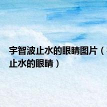 宇智波止水的眼睛图片(宇智波止水的眼睛)